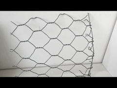 কম কার্বন আয়রন 3.0 মিমি গ্যাবিয়ন তারের জাল ক্ষয় প্রতিরোধী