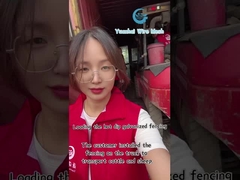 সাজসজ্জামূলক তারের জাল ত্রিভুজ বেড়া প্যানেল উচ্চ নিরাপত্তা কাস্টমাইজড রঙ