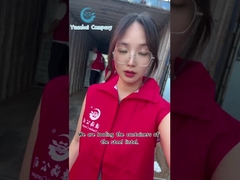 স্টেইনলেস স্টীল ডিকোলিং এবং ফিল্টার সিলিন্ডারের জন্য পারফোরড ওয়্যার জাল