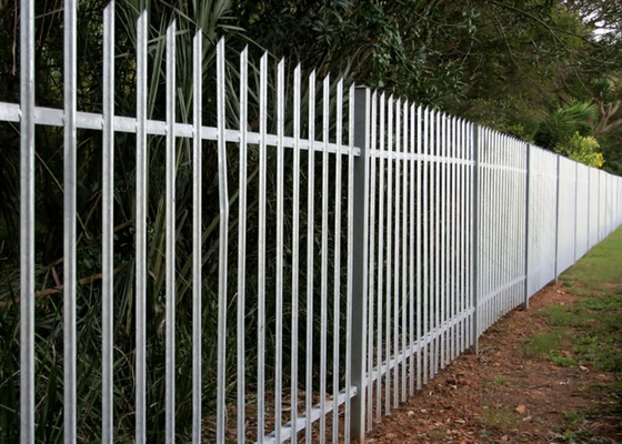 Powder Coated Tubular Steel Fencing Palisade Steel Picket Fence 65*2.0mm