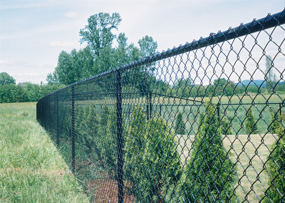 খামারের জন্য গরম ডুবানো গ্যালভানাইজড অস্থায়ী জালের বেড়া 9 গেজ 4.0 মিমি
